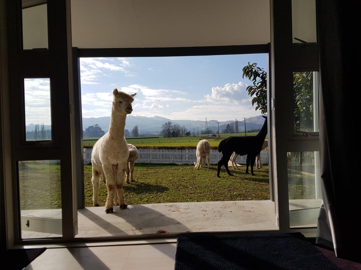 Homestead B&B เคมบริดจ์ ภายนอก รูปภาพ